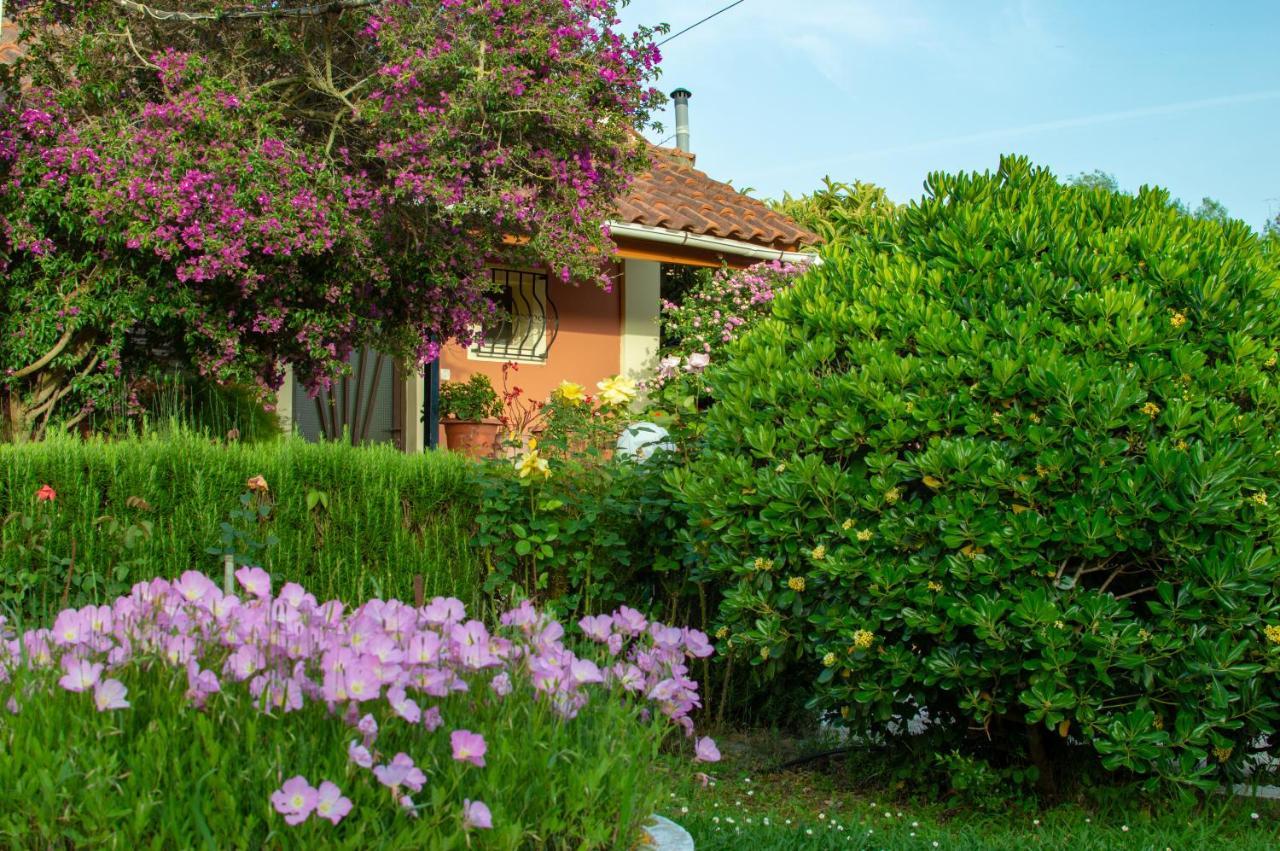 Rose Garden Villa Melíkia Екстериор снимка